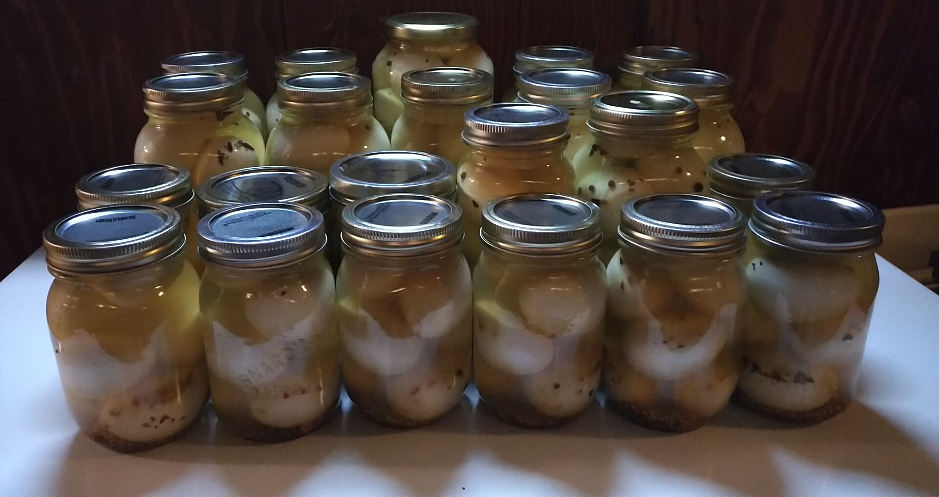 This is what 22 jars, totalling 229 pickled eggs. looks like